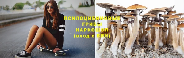 PSILOCYBIN Алзамай