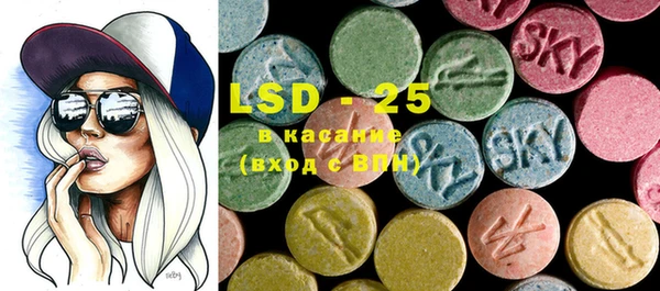 PSILOCYBIN Алзамай