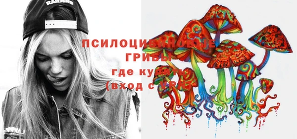 PSILOCYBIN Алзамай