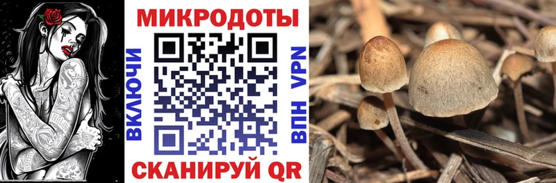 даркнет сайт  Алупка  Галлюциногенные грибы Psilocybine cubensis 